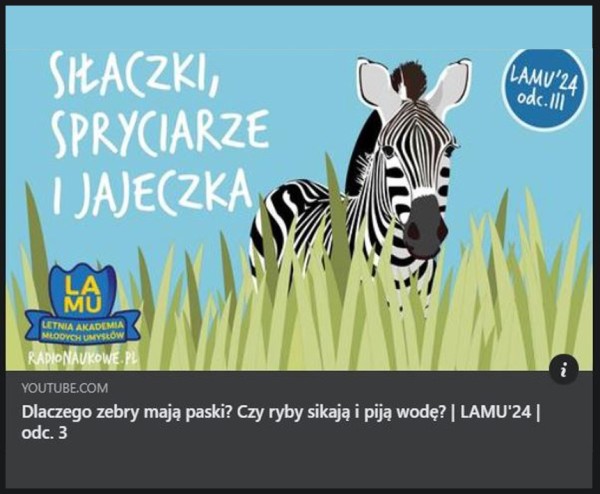 Michał Mięsikowski w Letniej Akademii Młodych Umysłów!!!